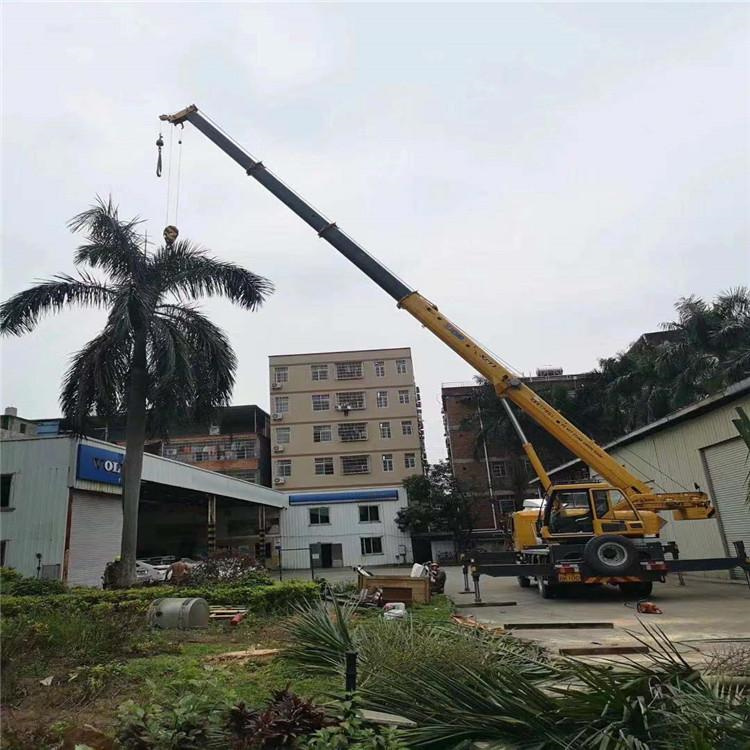 新泰汽车吊出租多少钱？全面解析与市场行情